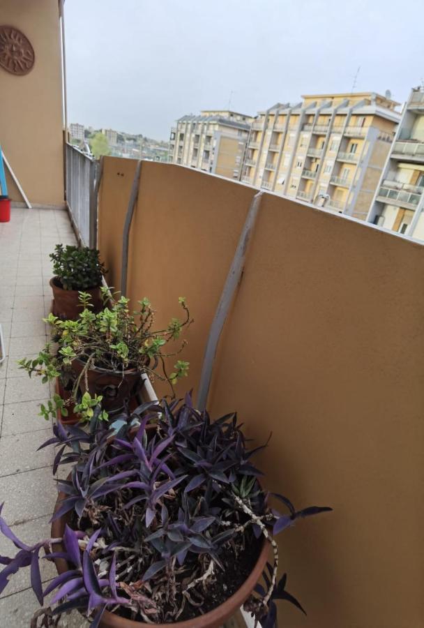 Appartamento Per Turisti E Famiglie Roma Exterior foto